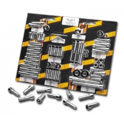 kit-tornilleria-pulido-embellecedor-lateral-harley-xl-91-03