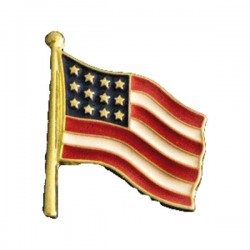 USA FLAG PIN TINY